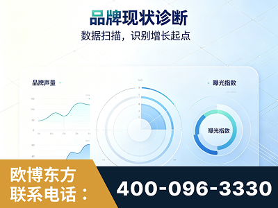 会理-品牌现状诊断